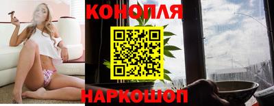 крисы Новокубанск