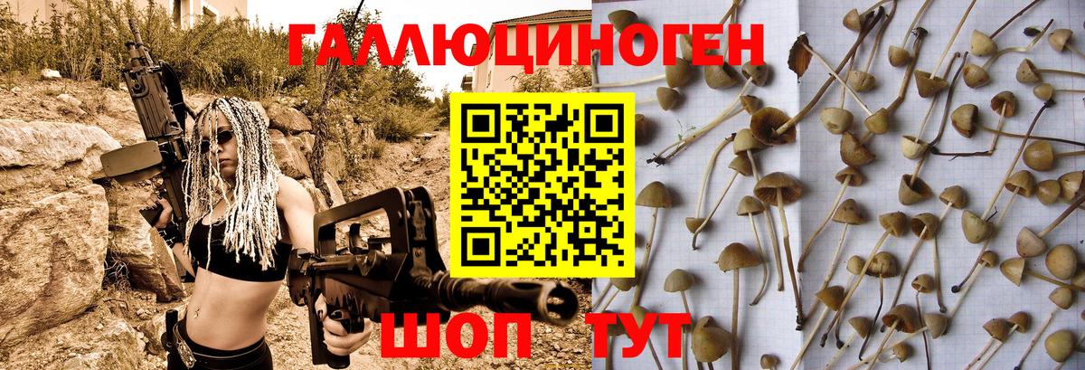 Псилоцибиновые грибы ЛСД  Вход с VPN  Топки 